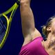 Hogenkamp naar kwartfinales Limoges
