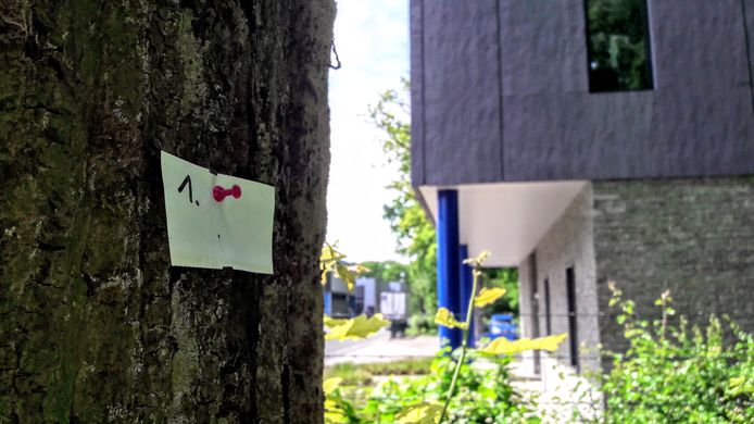 Een van de genummerde bomen met op de achtergrond Schoonderwoerd Vlees BV