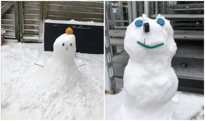 We weten  nog niet zo goed of we dit sneeuwpoppen, of sneeuwmonsters moeten noemen....