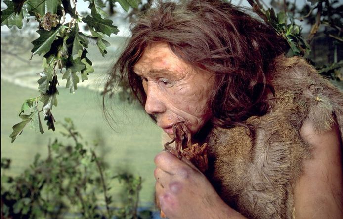 De neanderthaler stierf zo'n 40.000 jaar geleden uit, maar gaf genetisch materiaal door aan de moderne mens.