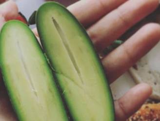 De pitloze avocado met eetbare schil verovert stilaan het internet