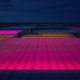 In deze Westlandse kas baadt tuinkers in een zee van roze licht