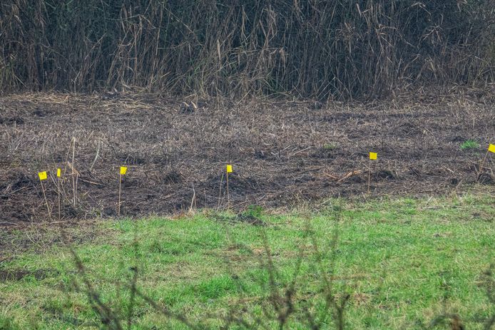 Met gele vlaggen is aangegeven waar er explosieven in de bodem zitten op het privé-deel van de Ooijse Graaf