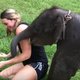 Zien: enthousiaste babyolifant wil niet stoppen met knuffelen