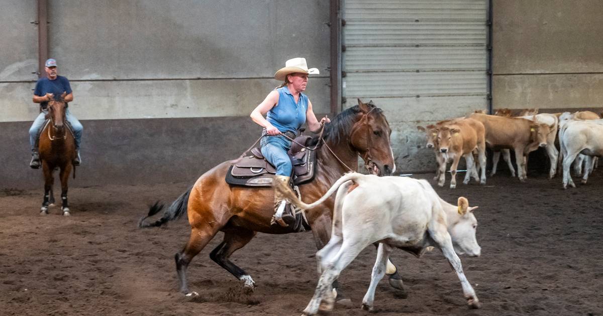 Ruiters leren rijden in cowboystijl dankzij Wendy van Osch’ jarenlange ervaring