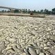 Rivier Po dreigt korter te worden door droogte en verzilting
