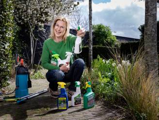 Welke onkruidsprays werken echt? Onze expert zocht het uit: “Een concentraat is een pak goedkoper dan een spray, en gaat jarenlang mee”