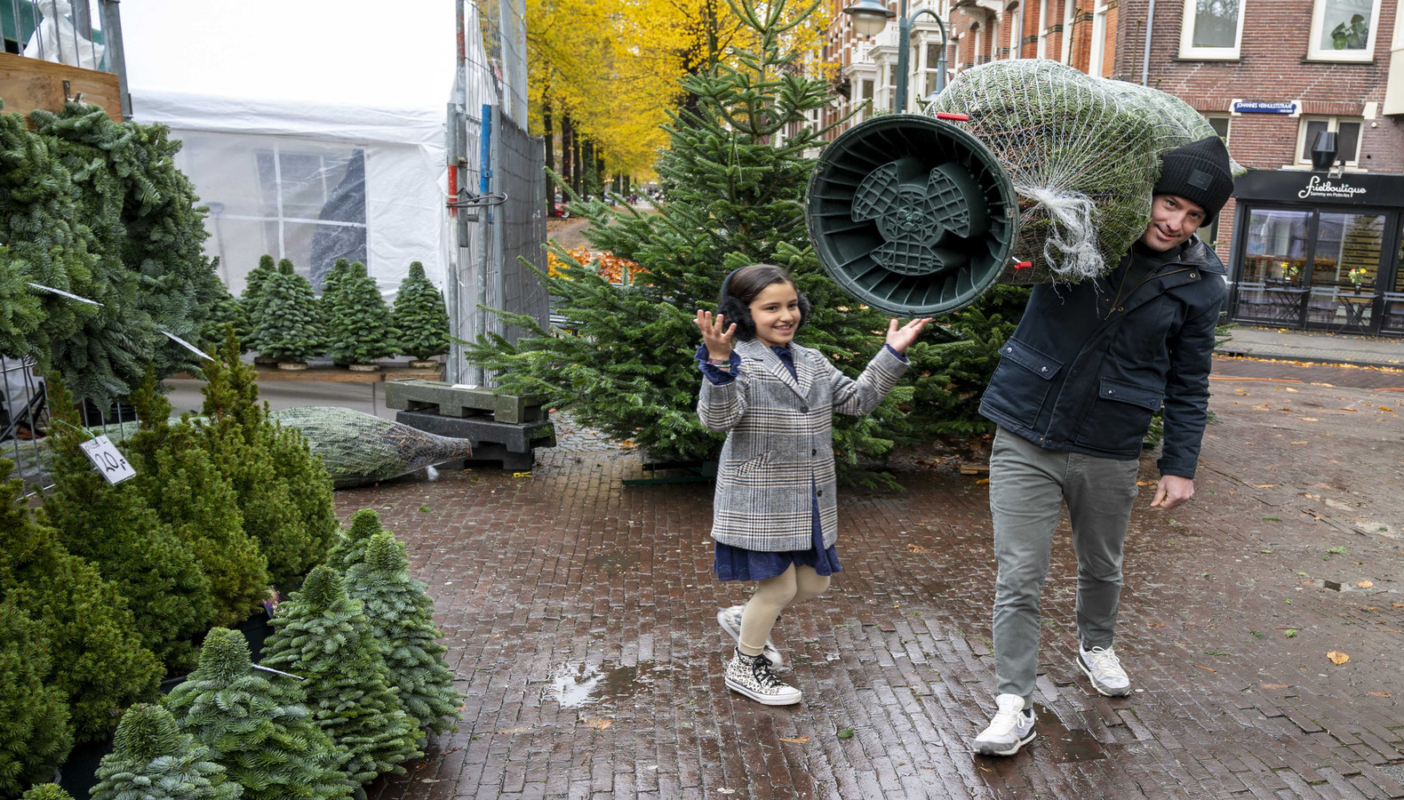 Echt of nep wat is de duurzaamste kerstboom? Foto gelderlander.nl