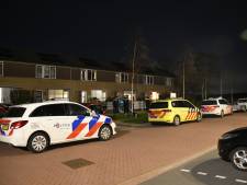 Gewonde bij bijtincident met hond in Oost-Souburg