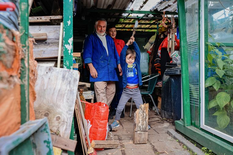 De vijf­jarige Elyesa hakt hout onder het toeziend oog van zijn opa Ihsan en zijn broer Yasar. Beeld Saskia van den Boom