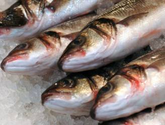 Zaakvoerder van vishandel krijgt mildere straf voor zwartwerk
