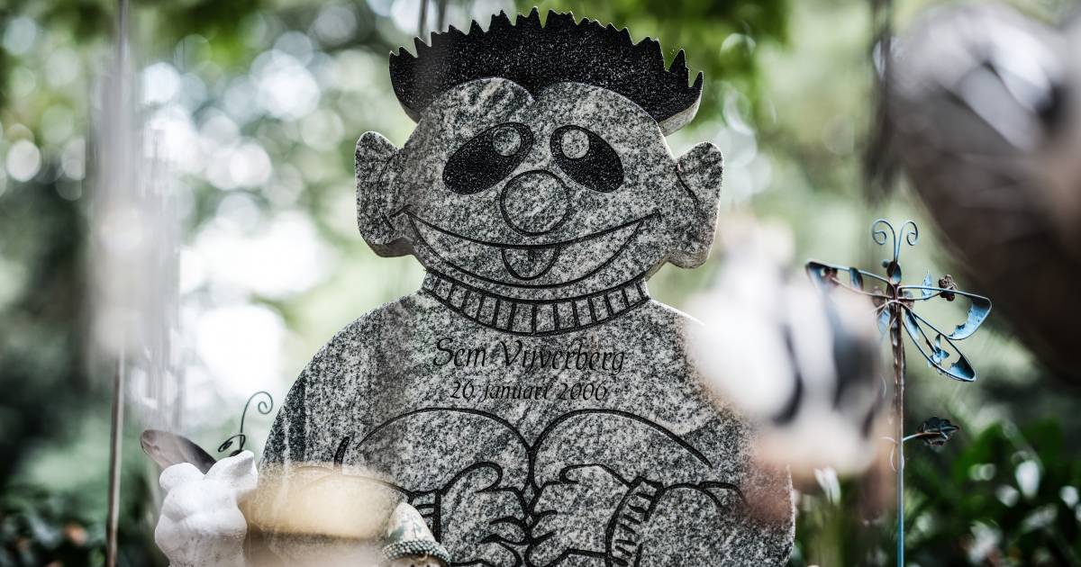 Tipgever die politie naar moeder van baby Sem leidde, laat duizenden euro's beloning liggen