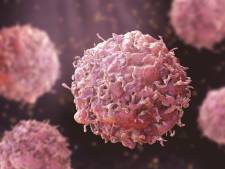 Des chercheurs belges font une grande découverte dans la lutte contre le cancer