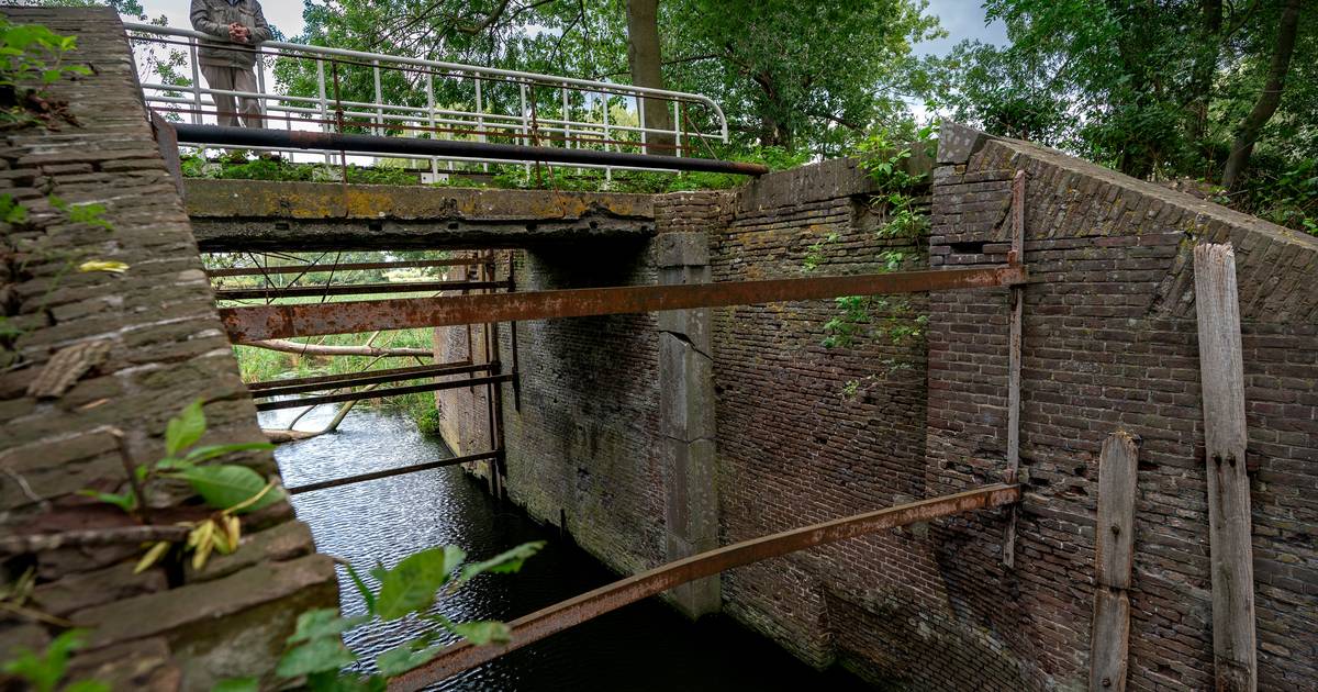 De laatste van drie pareltjes klaar om opgepoetst te worden