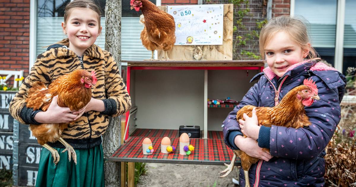 Productie Lagere school Scheiding Te koop: lekkere eitjes, met gratis knutselwerkjes | Best, Meierijstad en  Son | ed.nl