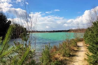 Plan voor natuurbegraafplaats in Milheeze weer van stal gehaald