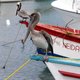 Megaschikking in zaak illegale bank Curaçao