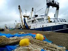 Visserijplatform: geen brexit-deal als die de zeevisserij de das om doet