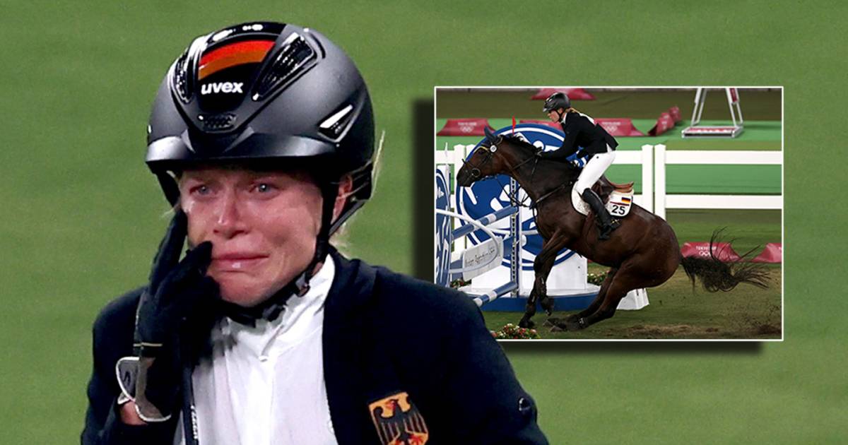 Paardensport mag dan een individuele sport lijken, maar dat is het toch echt niet.