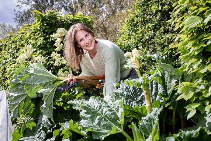 Tuinexperte Laurence Machiels geeft tips voor het aanleggen van een voedselbos in je tuin.