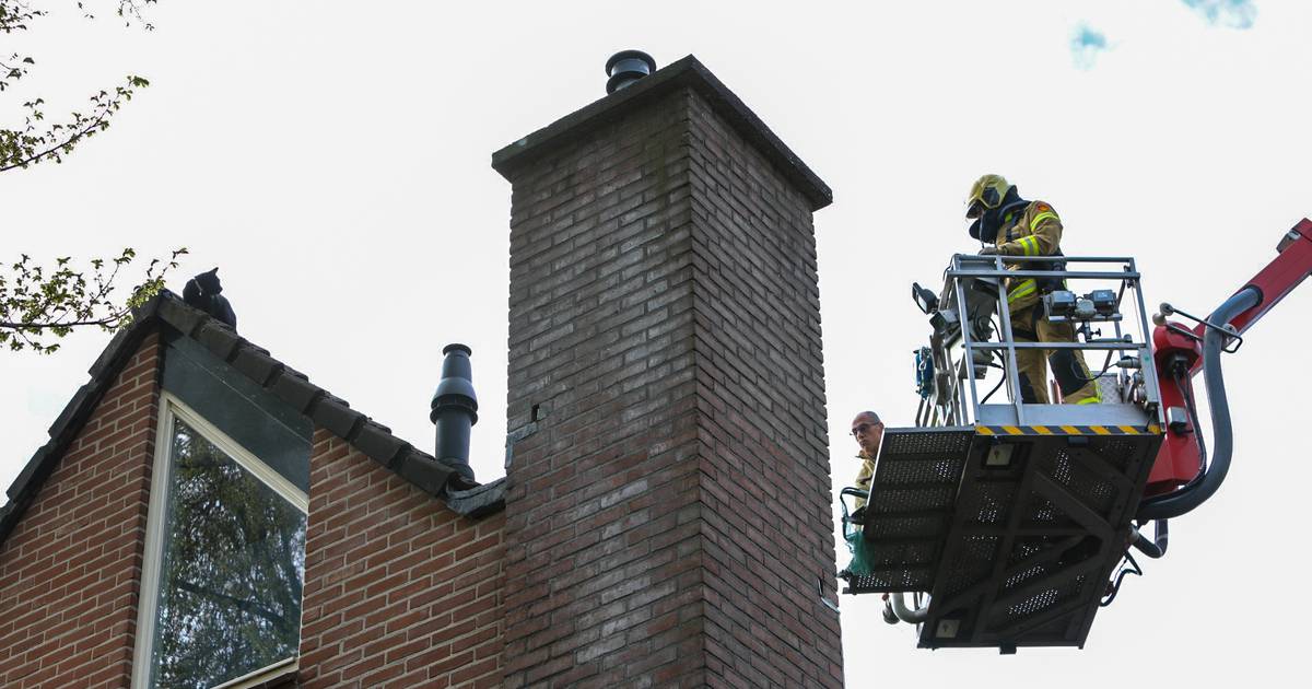 Jonge kat zit 24 uur op een dak in Apeldoorn, brandweer rukt uit: ‘Ook dit hoort erbij'.