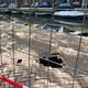 Deel Lijnbaansgracht weken onbereikbaar voor fietsen en auto’s vanwege zinkgat