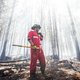 Bosbranden razen ook door het oosten van Canada