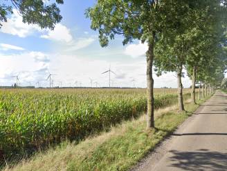 Niet 8 maar 10 molens nodig voor rendabel en groen windpark in Osse polder, zeggen natuurclubs en boeren