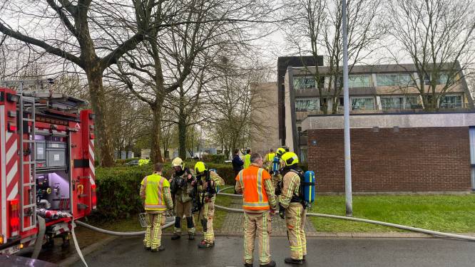 Brand in assistentiewoningen in Halle: 24 mensen geëvacueerd, hulpdiensten massaal ter plaatse