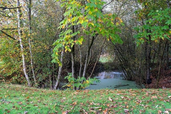 De poel vlakbij de kapel in Brijloopsedijk zal voortaan actief beheerd worden door de stad Geel.