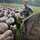 Over mondkapjes, wolven, astronauten, overheidsgeld, vakantie en het voetbalvirus