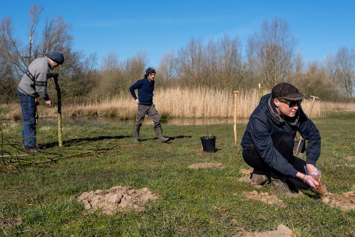 De Voedselboskabouters zorgen voor de eerste aanplant van het toekomstige voedselbos bij het Engelermeer.