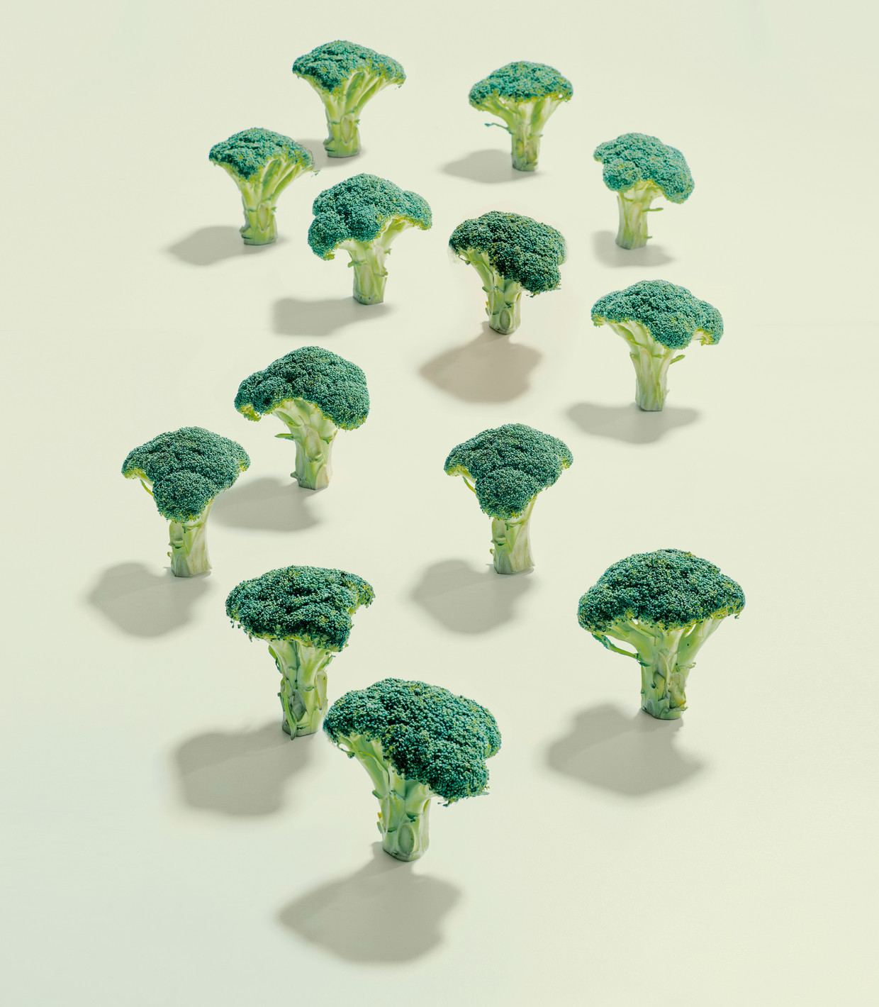 Groenten als broccoli bevatten korteketenvetzuren die een positief effect hebben op MS en reuma.  Beeld Getty Images