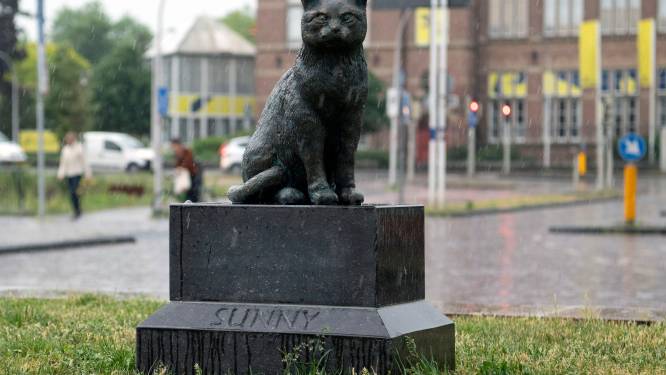 ‘Gesloopt’ beeld van overleden Deventer stationskat Sunny staat weer: ‘Alles kan schijnbaar kapot’