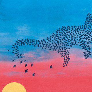Vistas, details and whimsical visual rhymes in Heiligers’ graphic cat prints