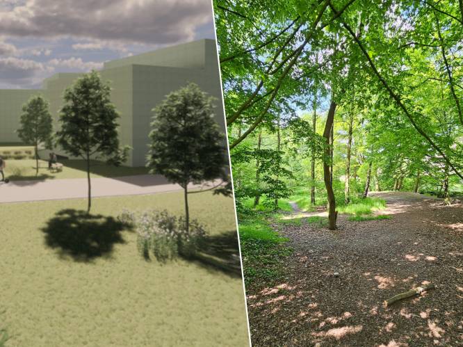 Ongerustheid over woonproject Akkerbeek: “Het is bouwgrond, maar appartementen horen er niet thuis”