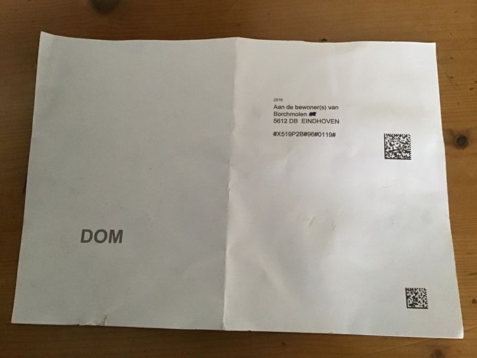 belediging VAN DE LEZER