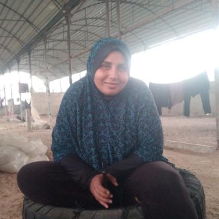 Samah Alashi s-a întors în orașul Gaza: “Simțeam că inima îmi va ceda   