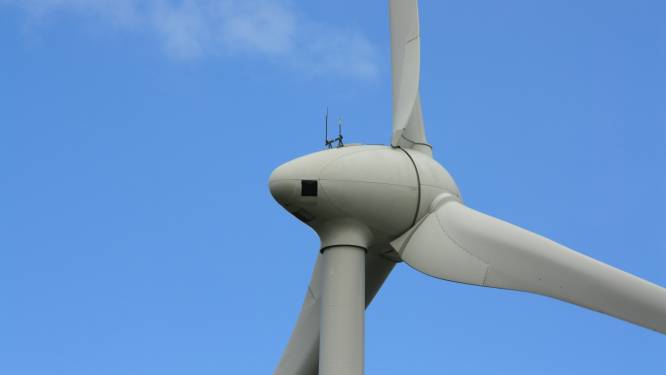 Rooise Heide in Schijndel vreest voor windmolens, ‘Straks horen we continu ‘zoef, zoef!’