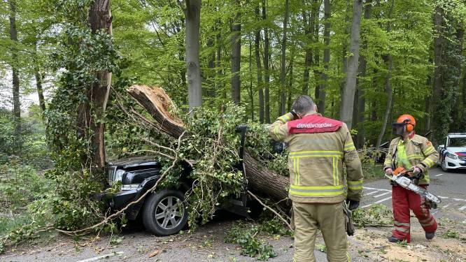Auto verliest wiel, boom valt op voertuig, vrouw gewond