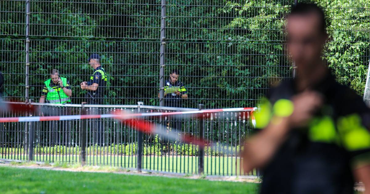 Ik neem aan dat de dader door de vader van de jongen wordt vergeven en zo snel mogelijk weer in de maatschappij terug kan keren