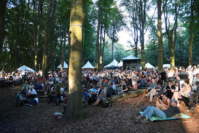 Jazzwood 2019 met Stefan Bracaval Qu4rtet