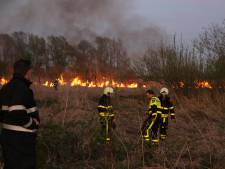 Brandweer extra alert: grote kans op natuurbranden