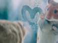 Kenners over kerstcommercials: ‘Krijg kromme tenen van de Lidl-reclame’