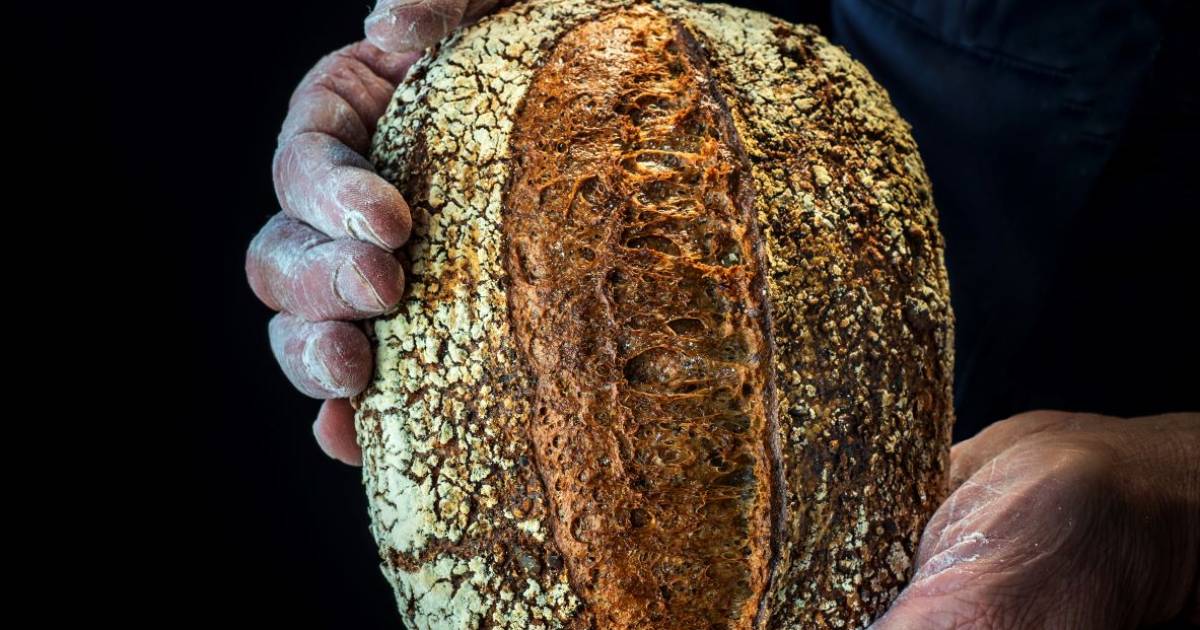 Brood van Achterhoeks meel dat 'smaakt als een gebakje' gaat op voor wereldtitel in Parijs - De Geld
