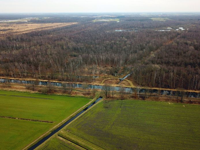 Het bos in het zuidelijk deel van Leegveld in Deurne.