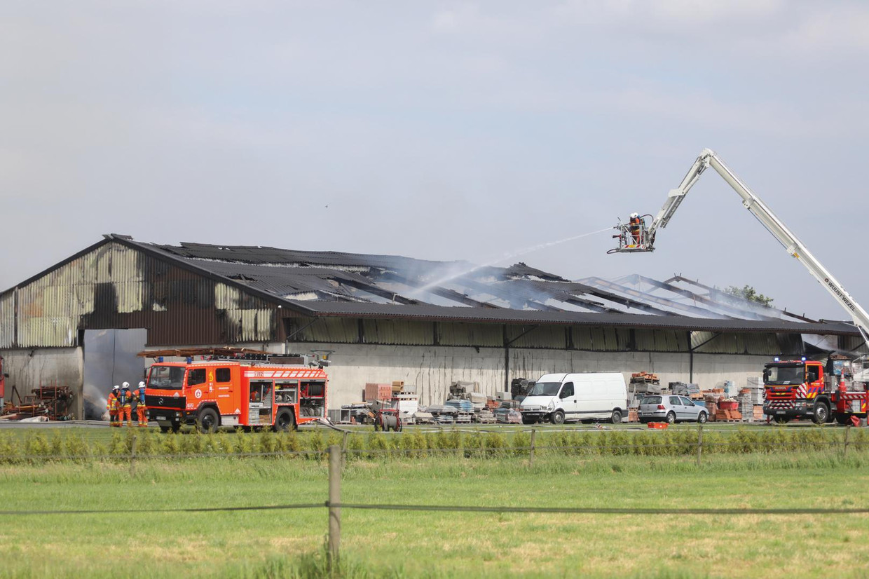 null Beeld Marc De Roeck