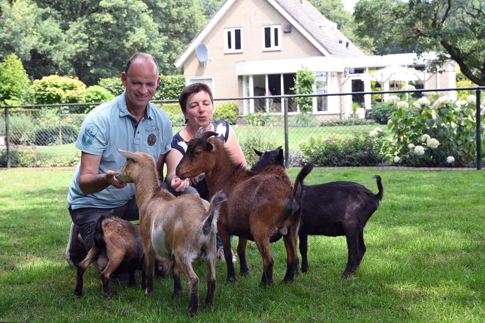 TuinAwards Jan en Carien van Wezel laten ook voorbijgangers van hun