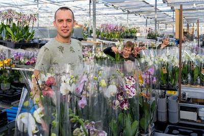 Alles rond de orchidee is zo duur dat Wilco een punt zet achter zijn kwekerij