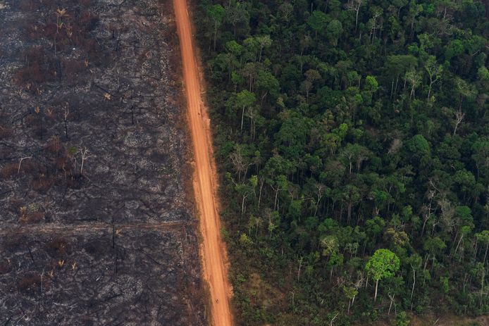 Ontbossing in het Amazonewoud.
